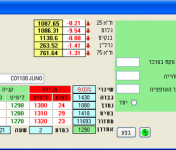  באופציות המעוף ידוע כמסוכן ודורש משמעת 